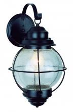 Trans Globe 69900 RBZ - 1 LT SMALL WALL-OUTDOOR-ONION
